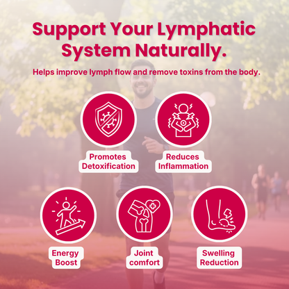 Lymph System Support